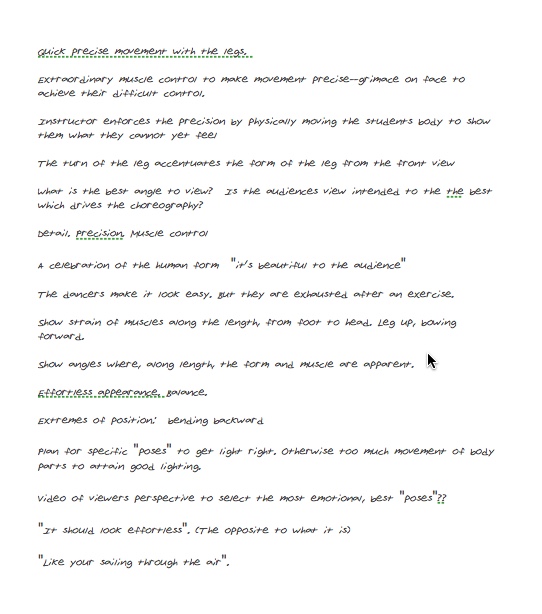 The photoshoot required detailed planning and and understanding of the fundamentals of ballet.  The directors at Twin Cities Ballet Minnesota gave me a crash course.