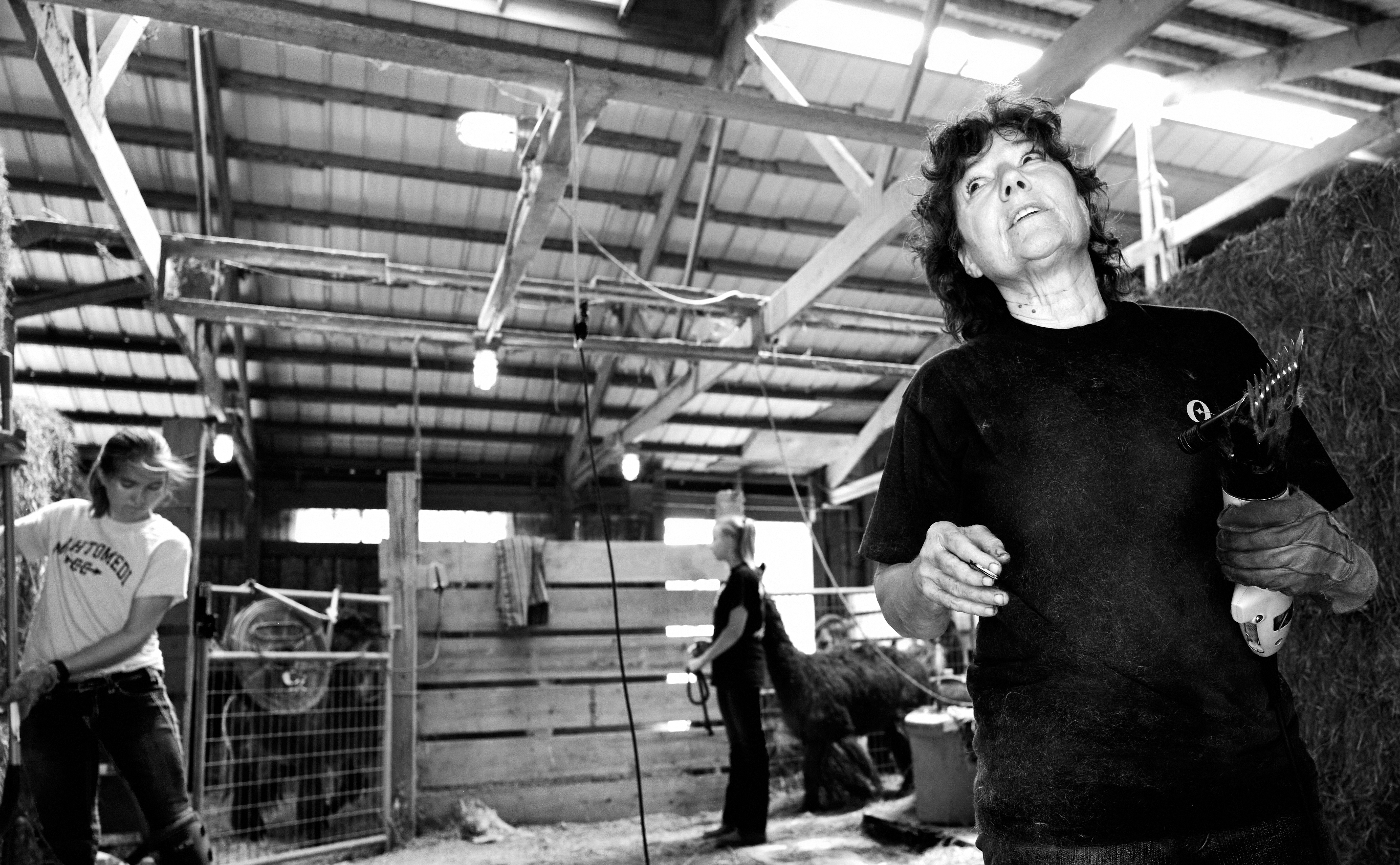 Preparing the shearing tools