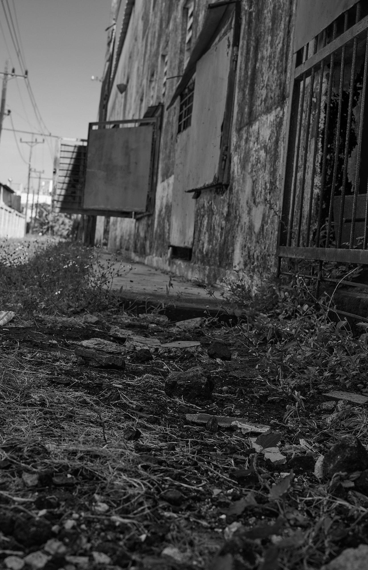 Outside the barred gate, the concrete is black with decades of oil and industrial runoff. I knelt to take this photo and stood up stained. The ground tells its own story — one of work, residue, and things that don’t get cleaned.