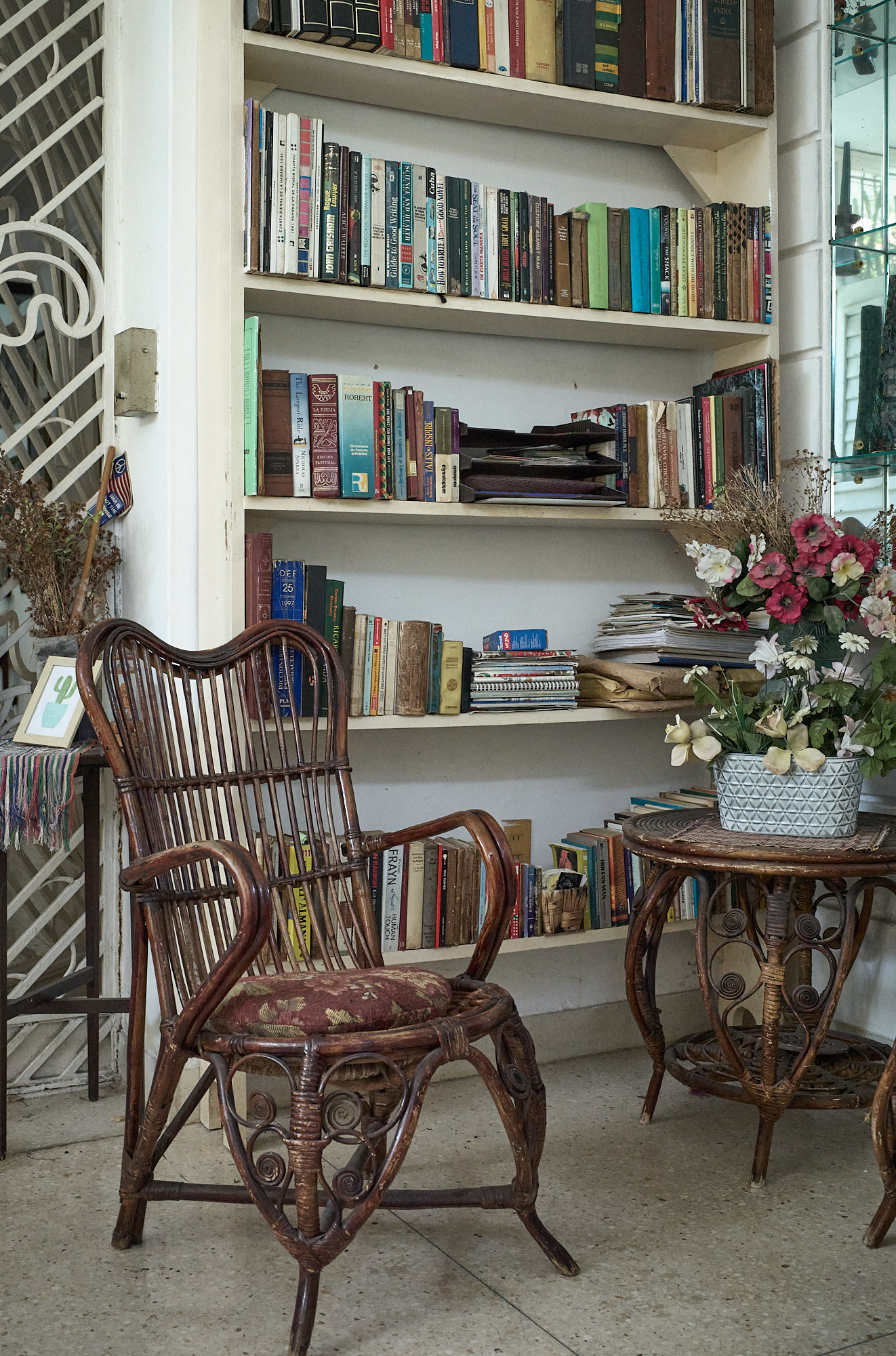 One library in Ileana Yarza’s Havana home. Along with the artwork that lined her walls, these shelves spoke to a lifetime of study, reflection, and Cuba’s layered history preserved in books and artwork.
