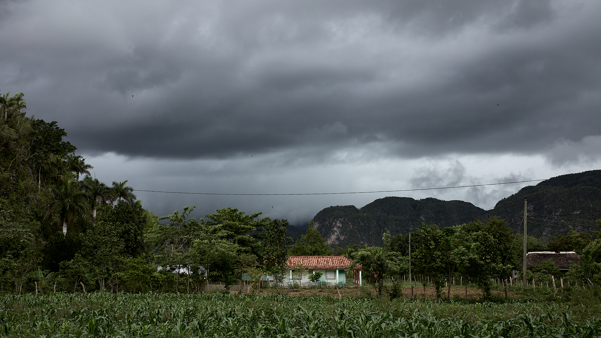 Storm clouds gather over the valley where generations of tobacco farmers have worked the land beneath the limestone hills outside Viñales.