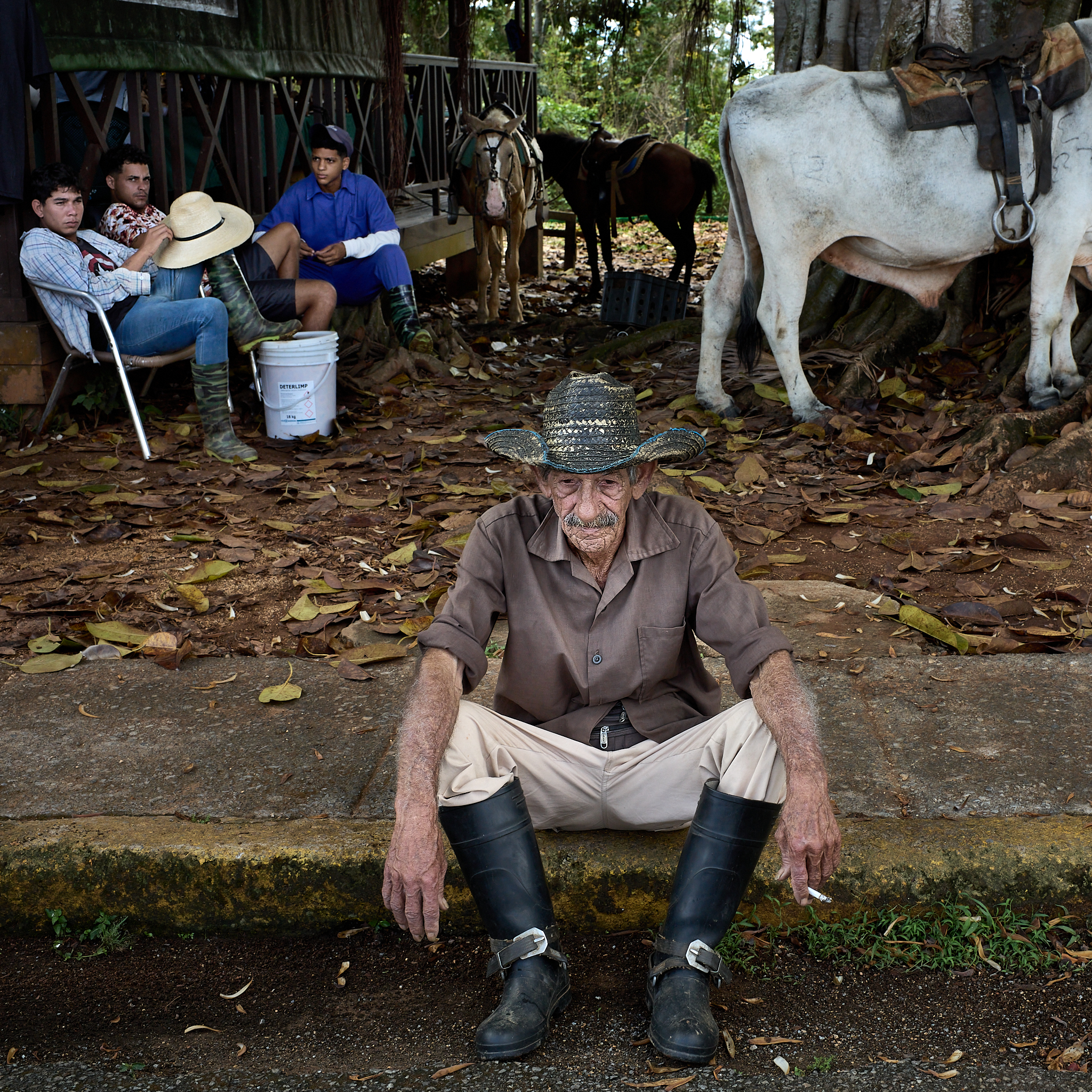 Miguel rests near the family’s horses and oxen at a tourist stop in the valley, where the family supplements its tobacco income by offering rides to tourists traveling through the region.